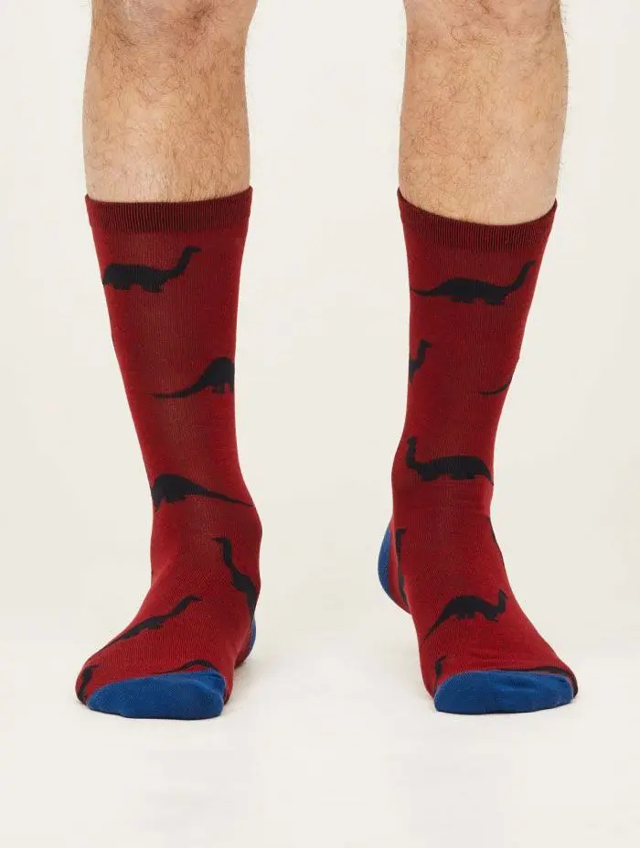 Calcetines ecológicos de dinosaurios para hombre
