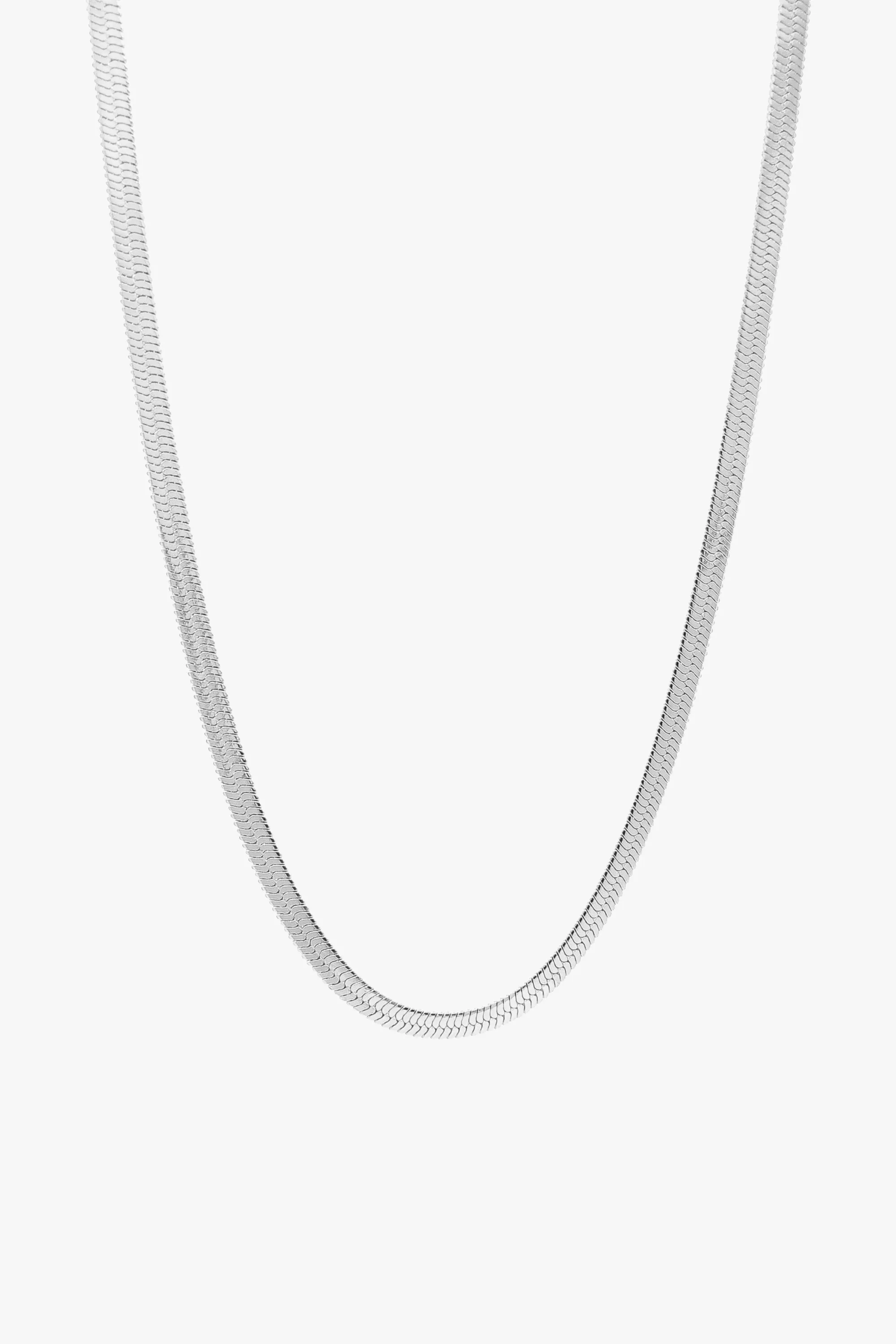 DEMTER PLATA