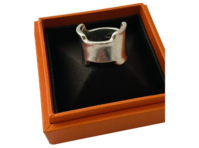 Hermès Amazonas Plata 