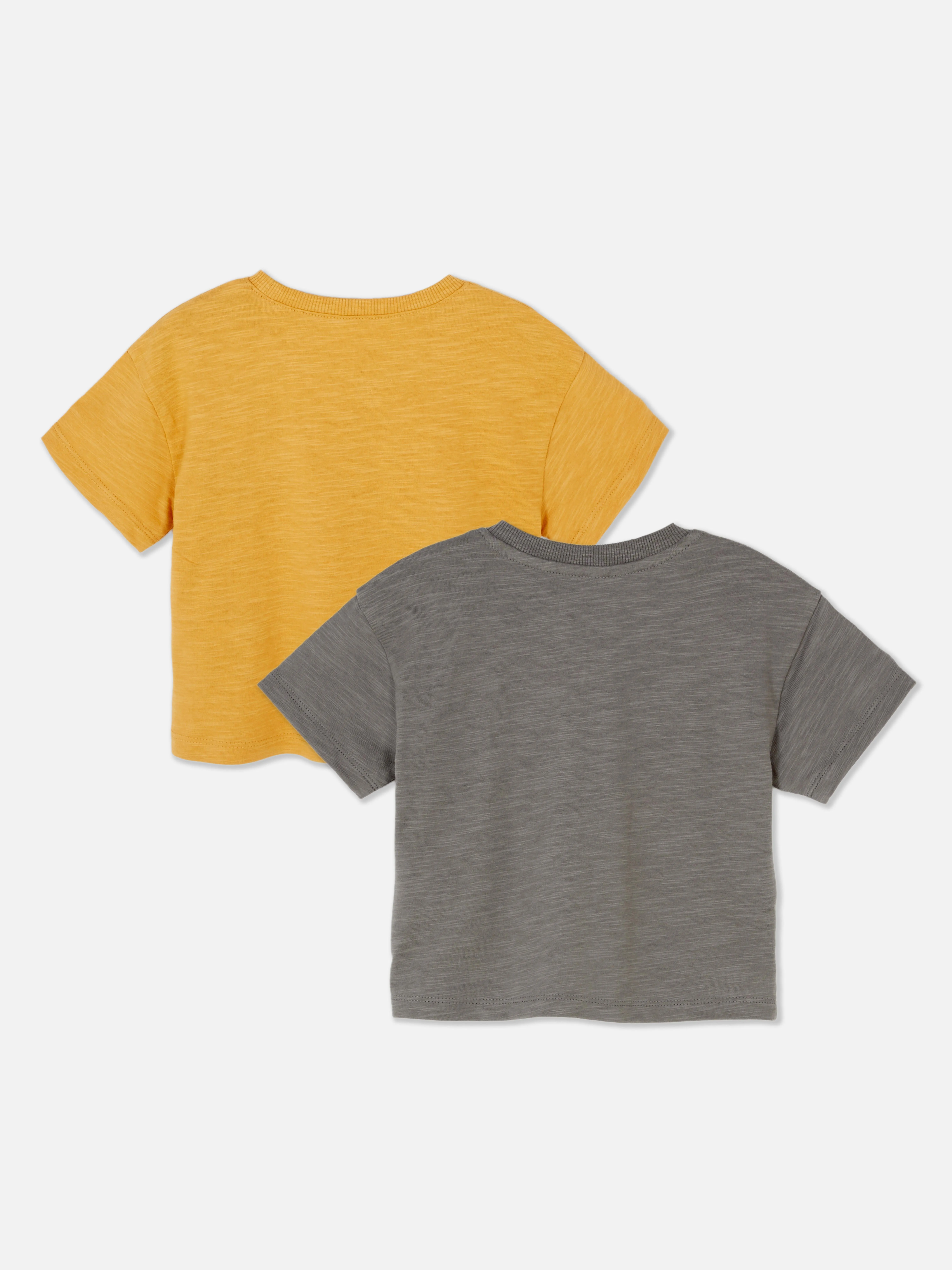 Pack de 2 camisetas de manga corta