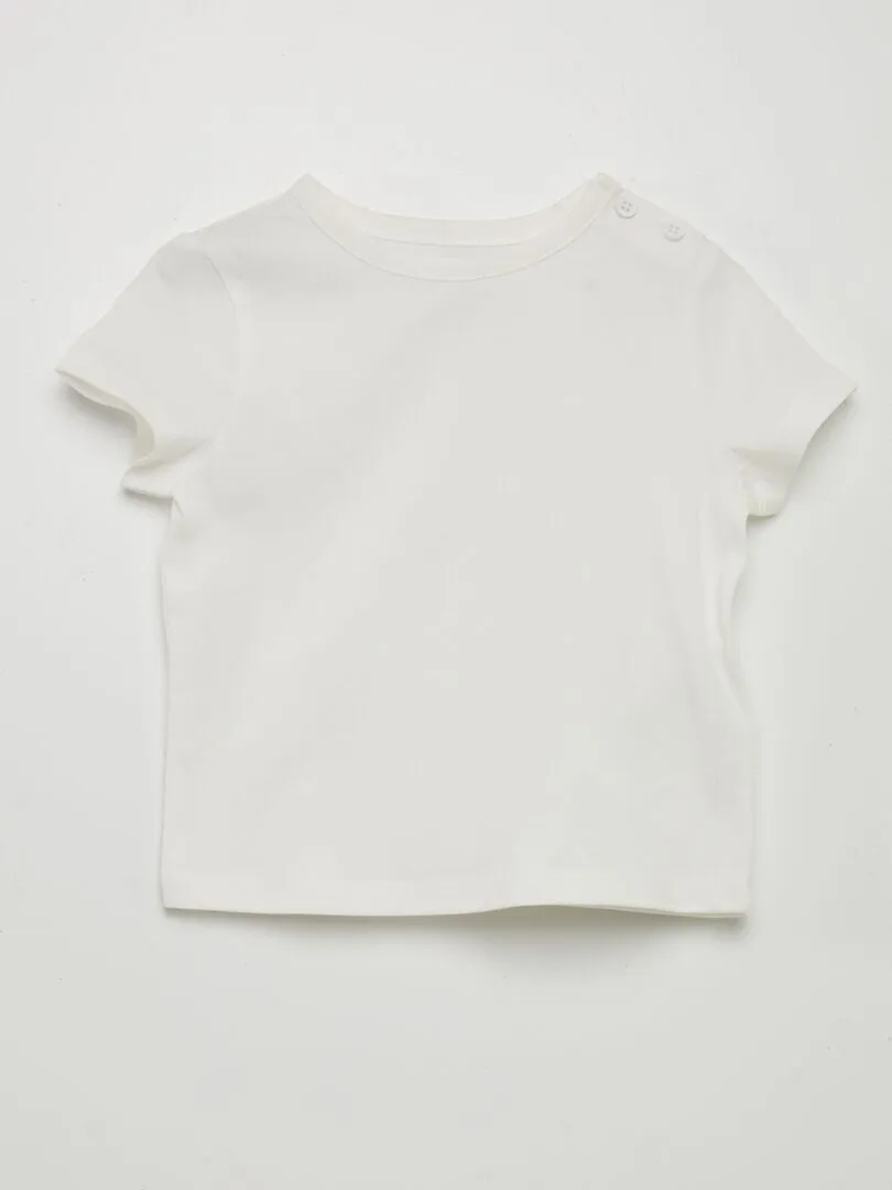 PACK DE 4 CAMISETAS LISAS  ROJO