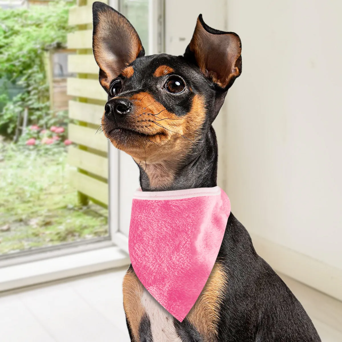 Pashmina para Mascotas con Diseo de Huellitas, color Fuccsia